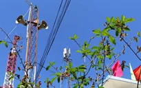 Nhà nước bảo đảm nguồn lực cần thiết cho hoạt động thông tin cơ sở