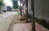 Thanh Hóa: Điểm tập kết rác gây ô nhiễm được xử lý sau phản ánh của Thời báo VTV