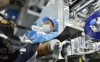 Việt Nam là “thỏi nam châm” thu hút FDI