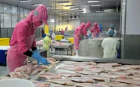 Doanh nghiệp thủy sản nỗ lực phục hồi xuất khẩu