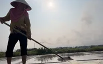 Những người cõng nắng, cõng gió trên cánh đồng muối