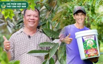 Phân bón Thuỷ Sính - Nhà sản xuất đáng tin cậy cho mọi nhà nông