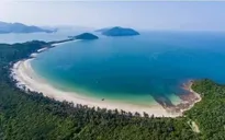 Quảng Ninh: Lấy điểm nhấn cây di sản để Phát triển du lịch Bái Tử Long