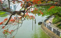 Thời tiết ngày 17/5: Bắc Bộ ngày nắng, Nam Bộ và Tây Nguyên chiều tối mưa dông