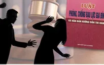 Ban hành Kế hoạch triển khai thi hành Luật Phòng, chống bạo lực gia đình