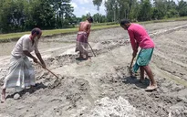Lượng mưa thấp kỷ lục, Bangladesh ghi nhận tháng 4 khô hạn nhất trong 43 năm