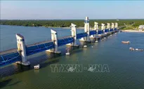 Xâm nhập mặn ở Đồng bằng sông Cửu Long có xu hướng giảm dần