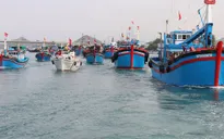EC lùi thời gian kiểm tra chống đánh bắt IUU