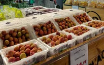 Vải thiều Thanh Hà giá gần 600.000 đồng/kg tại siêu thị Australia