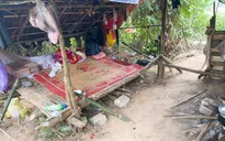 Nghệ An: Lập lán để mua bán trái phép ma túy