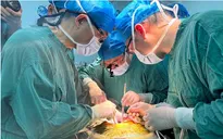 Trung Quốc lần đầu ghép thành công gan lợn chỉnh sửa gen cho người sống