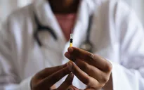Mỹ và châu Âu xem xét tiêm vaccine cúm gia cầm cho công nhân chăn nuôi bò sữa