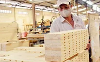 Kim ngạch xuất khẩu gỗ ước đạt hơn 6 tỷ USD