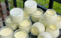 Hướng dẫn làm sữa chua phô mai