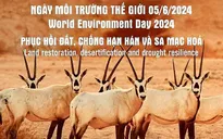 Ngày Môi trường thế giới 2024 chọn chủ đề phục hồi đất, chống sa mạc hoá