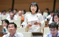 ĐBQH đề nghị nâng cấp cổng dịch vụ công theo hướng thân thiện, dễ sử dụng