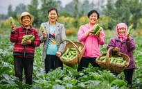 Liên hợp quốc thông qua Năm quốc tế Phụ nữ làm nông nghiệp