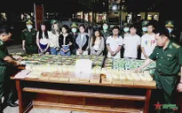 Thu giữ 198 kg ma túy giấu trong xe ô tô du lịch nhập cảnh từ Lào vào Việt Nam