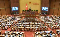 Ngày 31/5, Quốc hội thảo luận về thí điểm chính sách đặc thù với Nghệ An, Đà Nẵng