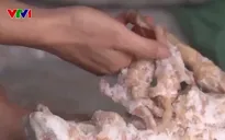 Lạng Sơn ngăn chặn gần 11 tấn chân gà đông lạnh, mốc đưa ra thị trường
