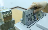 Giá USD đi ngang