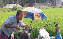 Ít nhất 15 người tử vong do nắng nóng tại Bangladesh