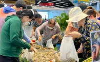 Kỳ vọng chính sách giảm thuế VAT kéo dài đến hết năm