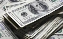 Giá USD ổn định