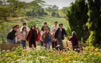 Lật mặt 7 vẫn trụ rạp giữa "cơn bão" phim hoạt hình mùa hè