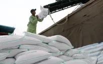 Băn khoăn về đề xuất áp giá sàn xuất khẩu gạo