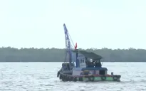 Xử lý triệt để các vi phạm về giám sát hành trình tàu cá