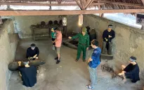 Ngỡ ngàng cuộc sống dưới lòng đất ở địa đạo Củ Chi