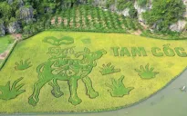 Khai mạc Tuần Du lịch Ninh Bình “Sắc vàng Tam Cốc Tràng An 2024”