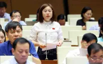 Nhiều đại biểu Quốc hội nhất trí quy định dao có tính sát thương cao là vũ khí thô sơ