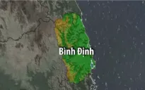 Hàng trăm người nỗ lực chữa cháy rừng ở Bình Định