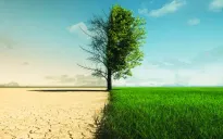 Ngày Môi trường Thế giới 2024: Phục hồi đất, chống hạn hán và sa mạc hóa
