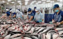 Xuất khẩu thuỷ sản tiếp đà tăng