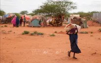 Brazil đối mặt hạn hán nghiêm trọng