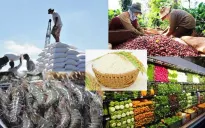 Nắm bắt FTA để hướng đến xuất khẩu tinh nông sản