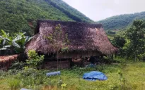 Lập chòi, lán mua bán số lượng lớn ma túy trong rừng sâu