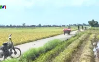 Phát huy tinh thần đổi mới sáng tạo trong phong trào thi đua yêu nước