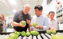 Xuất khẩu trái cây: 80% là hàng tươi, có đáng lo?