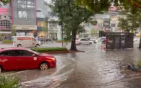 TP Hồ Chí Minh: Mưa đá, cây xanh ngã đổ, nhiều nơi ngập cục bộ