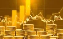 Đầu tư “sàn vàng online”, người phụ nữ ở Hà Nội bị lừa 24 tỷ đồng