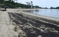 Singapore đóng cửa các bãi biển do sự cố tràn dầu