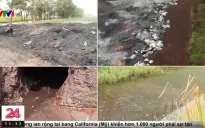 Cảnh báo nguy cơ nhiễm độc tại các cơ sở chì tái chế