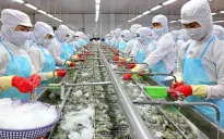 Trung Quốc trở thành thị trường tiêu thụ tôm lớn nhất của Việt Nam