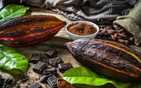 Ngành sản xuất chocolate Australia thiệt hại do giá cacao tăng cao