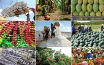 Giải quyết khó khăn cho doanh nghiệp xuất khẩu