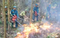 Nắng nóng kéo dài, nguy cơ cháy rừng tại Thanh Hóa